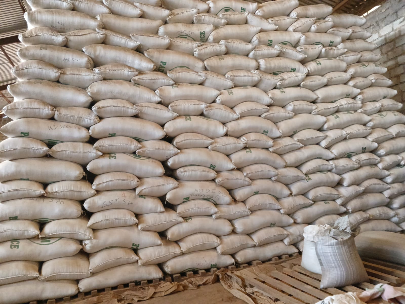 Large stacks of bagged rice in storage
