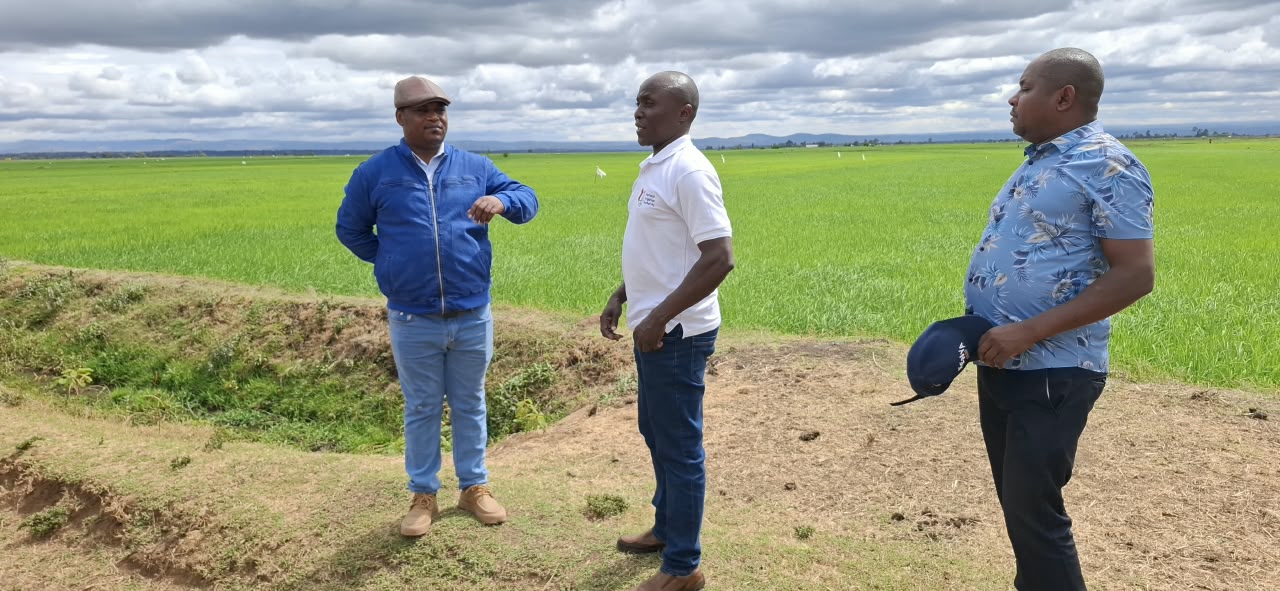 CarboDeep field visit at the Mwea Tebere Rice Irrigation Scheme